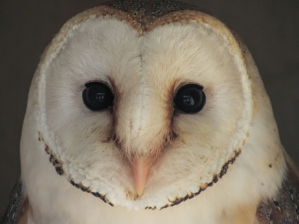 Photograph by Виктор Карпухин