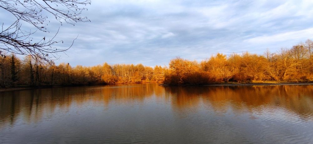 Фотография автора Taka2311