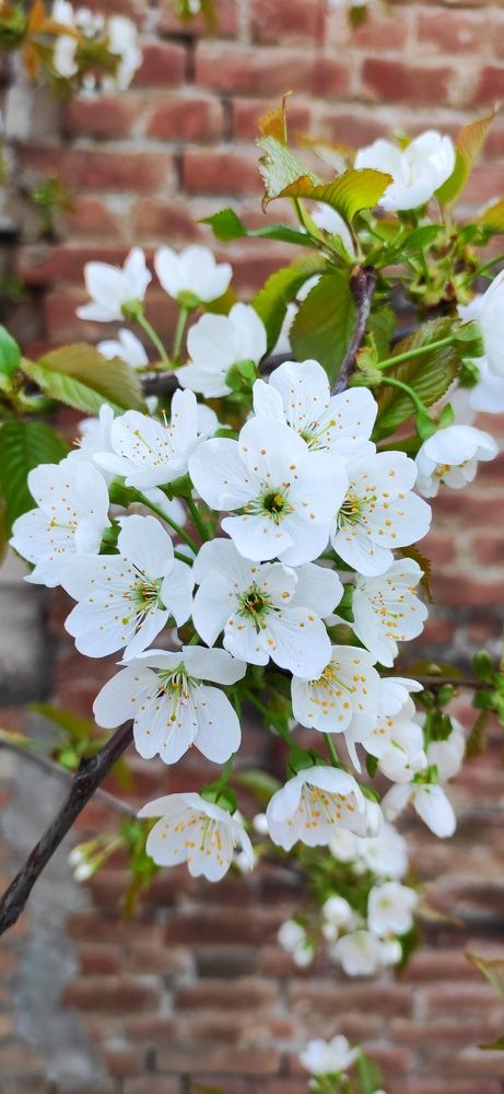 Фотография автора Taka2311