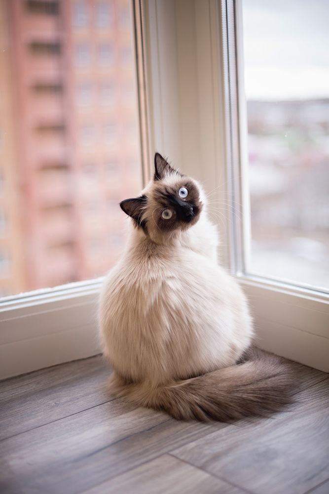 Photograph by Надежда Чернышова