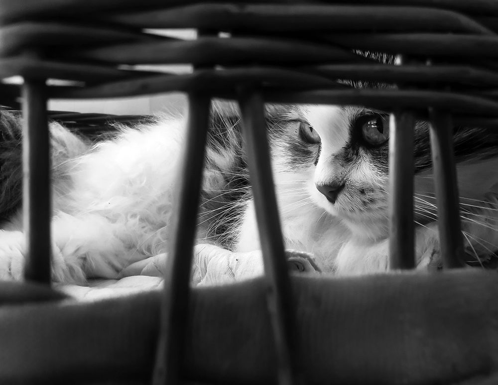 Photograph by Barbara Pindo