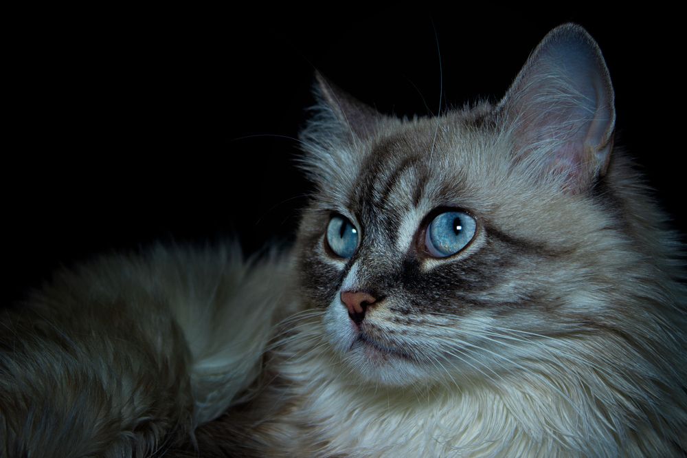 Photograph by Евгения Калугина