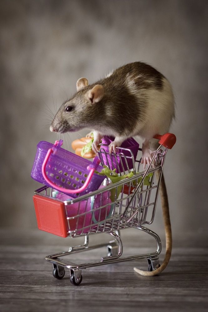 Photograph by Ольга Рачилова