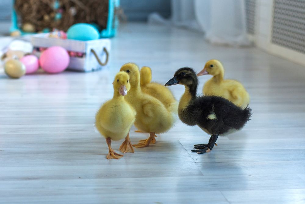 Photograph by Людмила Гончарова