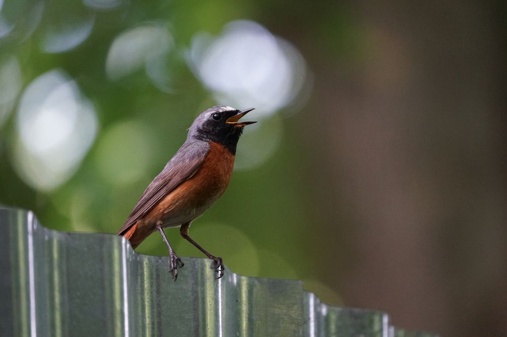 Photograph by Алексей Прохоров