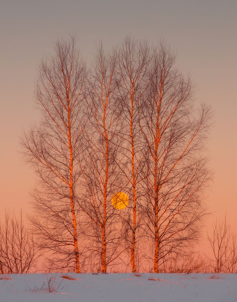 Photograph by Антон Шваин