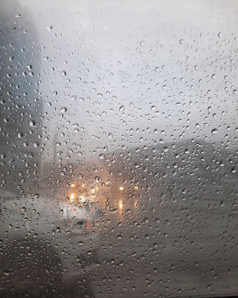 Фотография автора Olga Kunakova