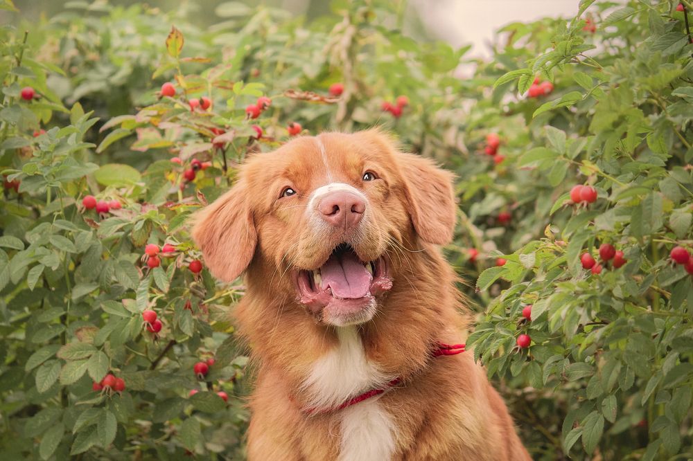 Фотография автора Екатерина Атавина