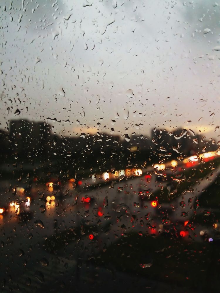 В Петербурге сегодня дожди...