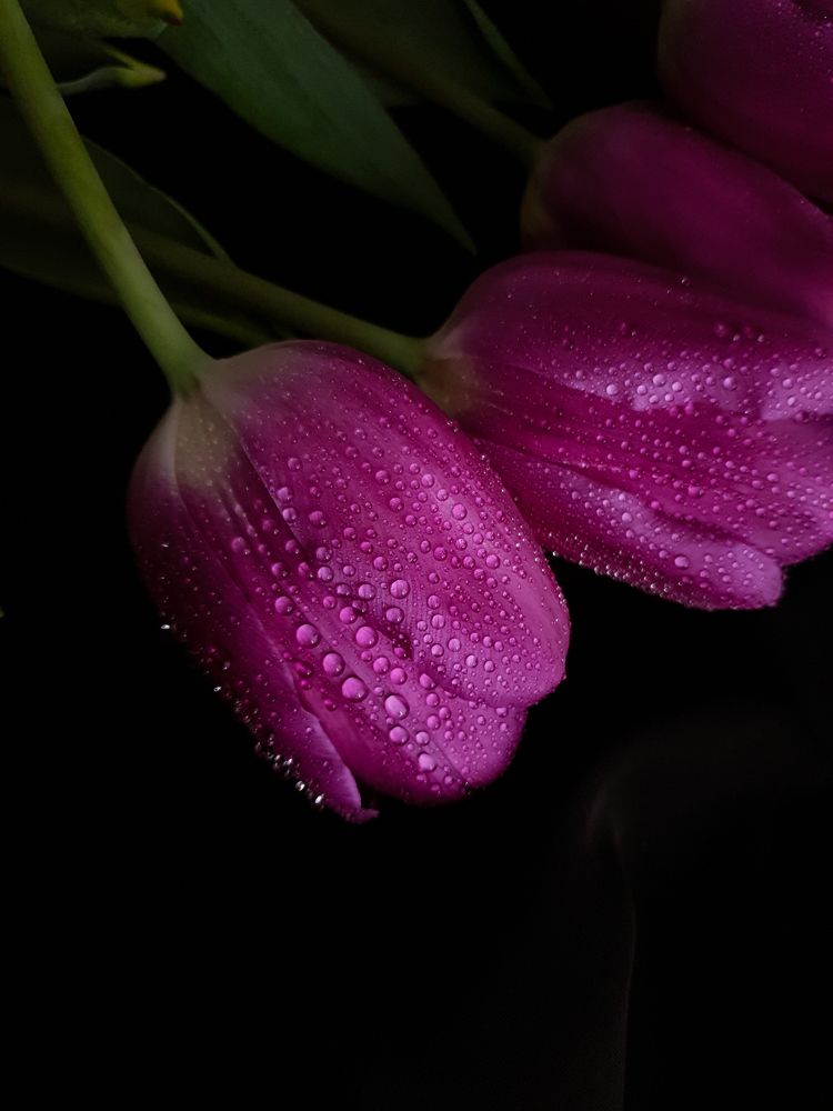 Photograph by Екатерина