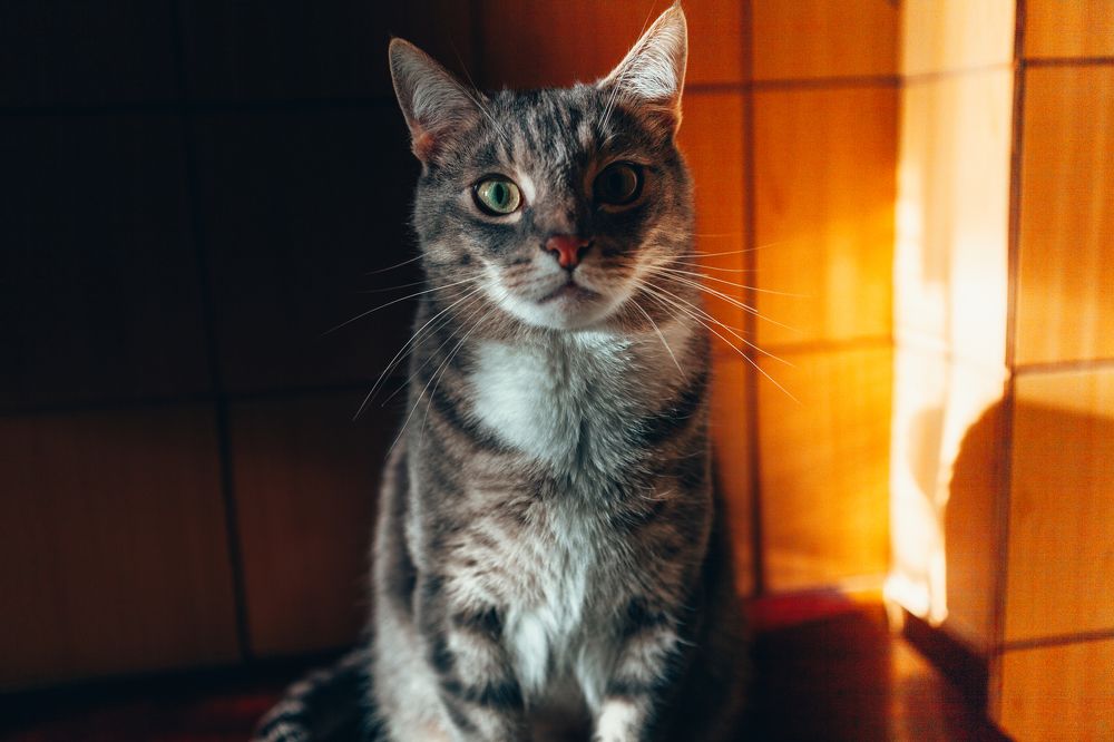 Photograph by Алина Козинец