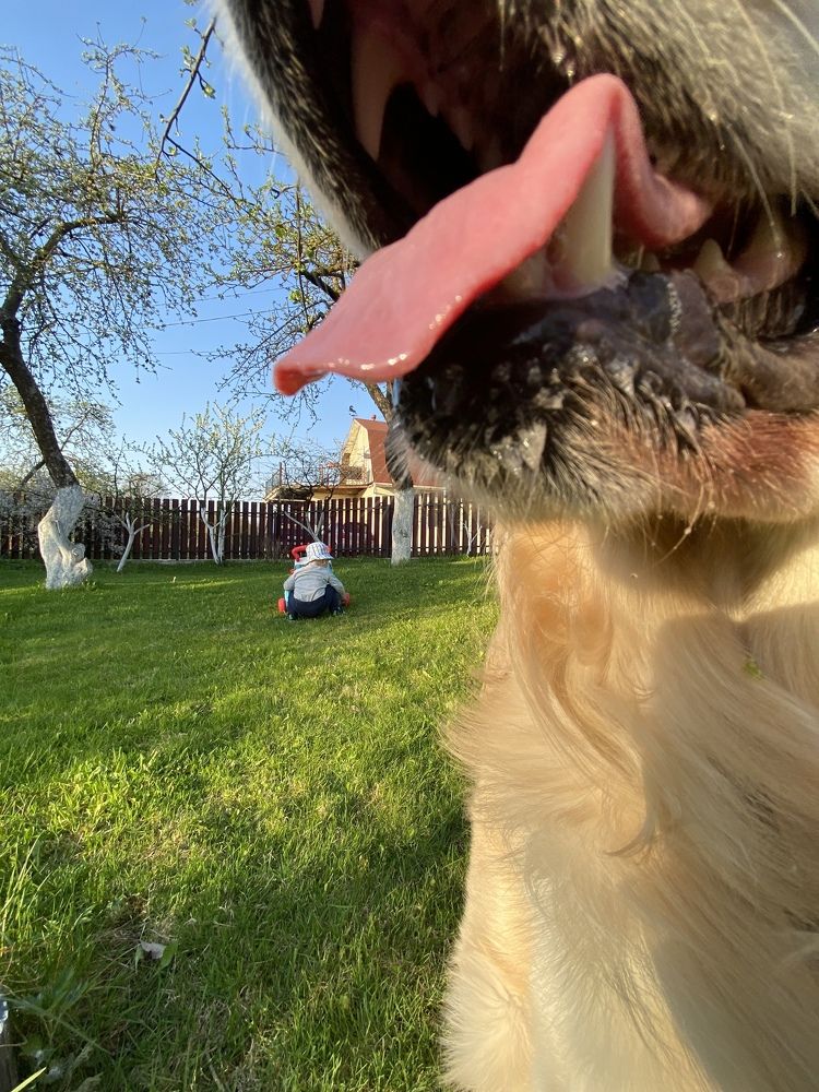 Photograph by Олег Иванов