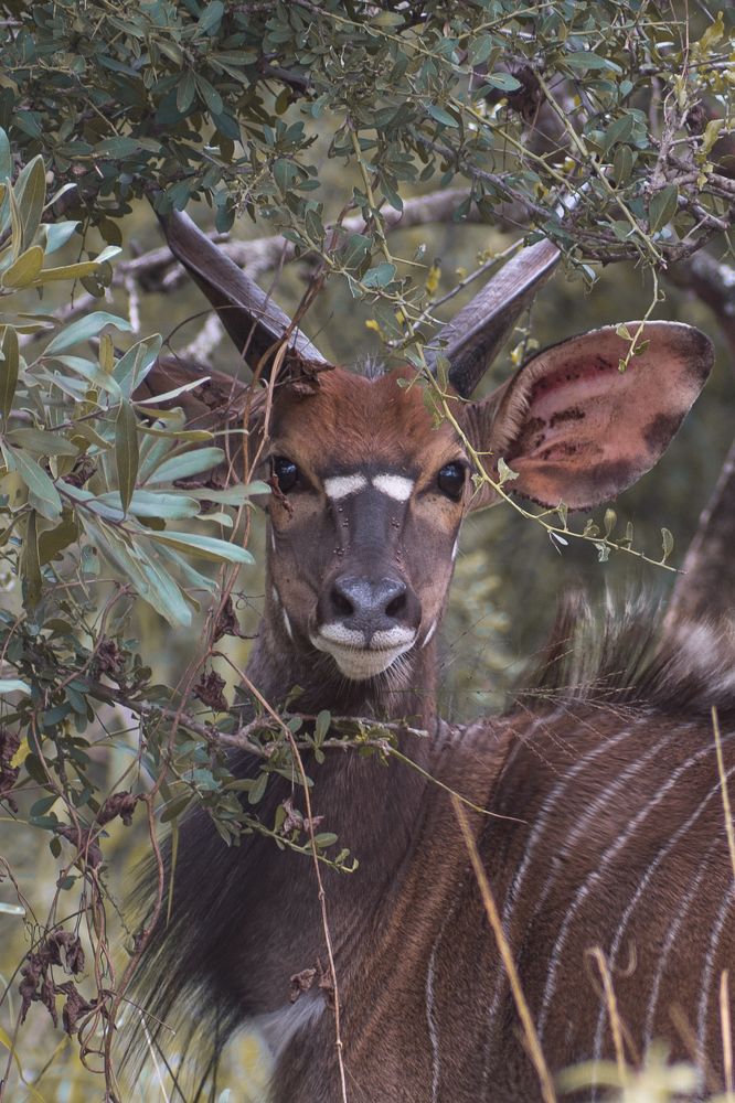 Photograph by Zandri Gillespie