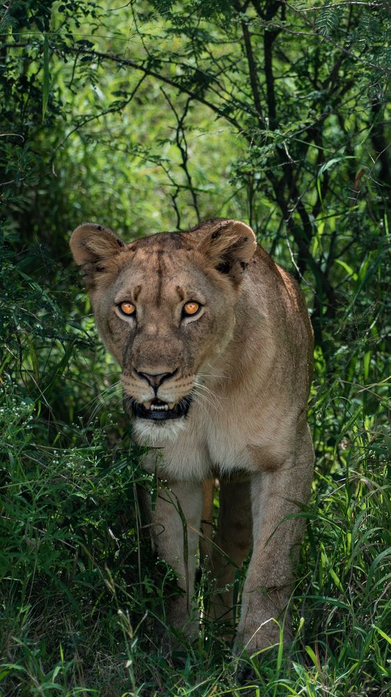 Photograph by Zandri Gillespie