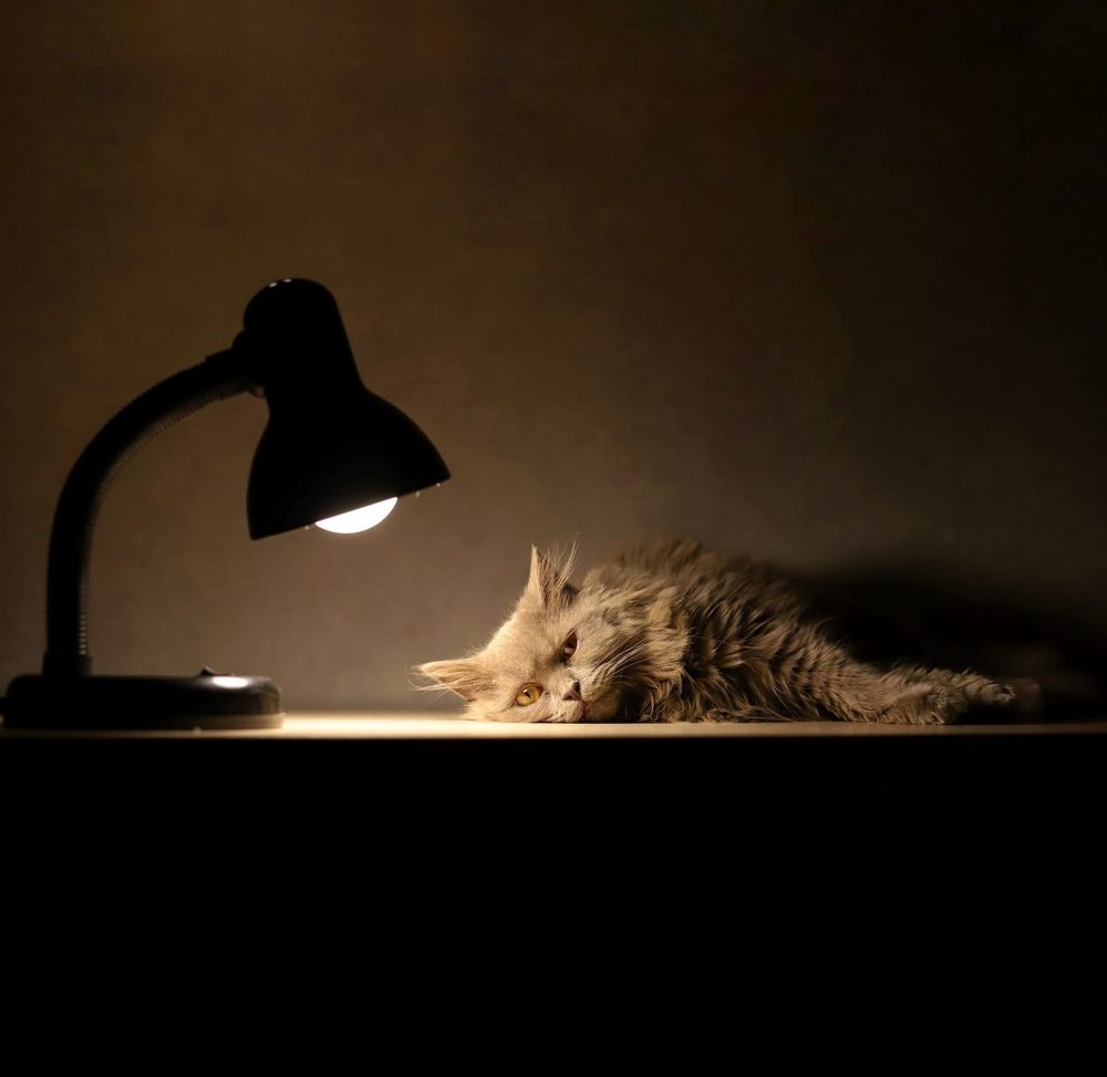 Photograph by Екатерина Мартынова