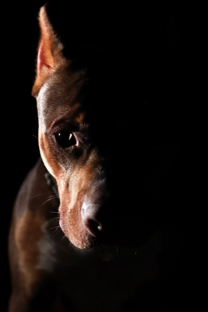 Photograph by Наталья