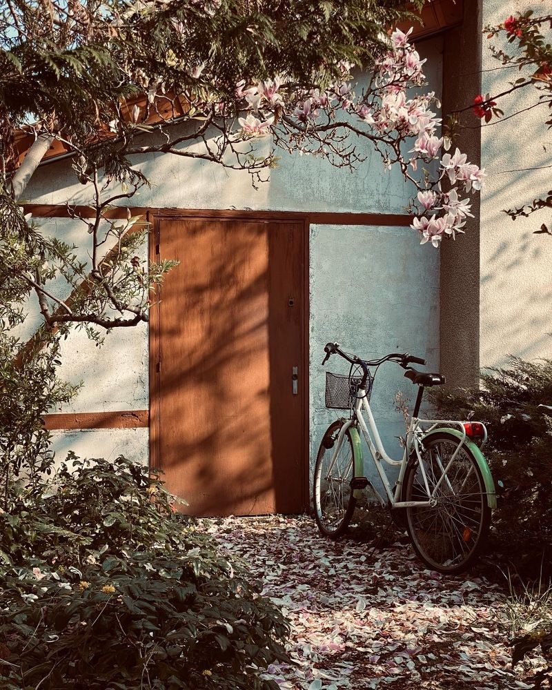 Photograph by Анастасия Куэлляр