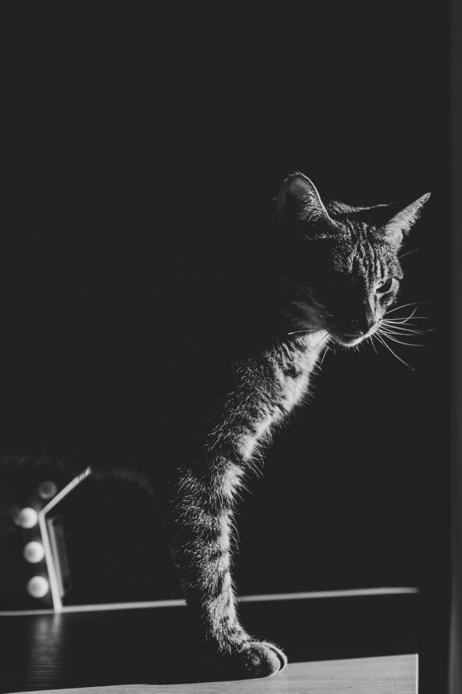 Photograph by Ольга Кушнарева