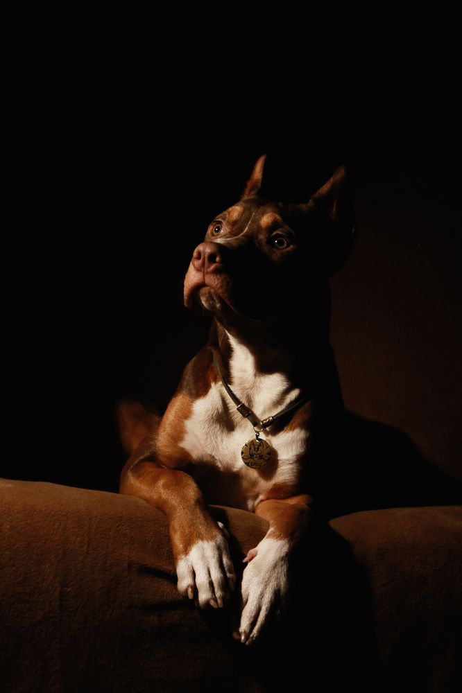 Photograph by Наталья