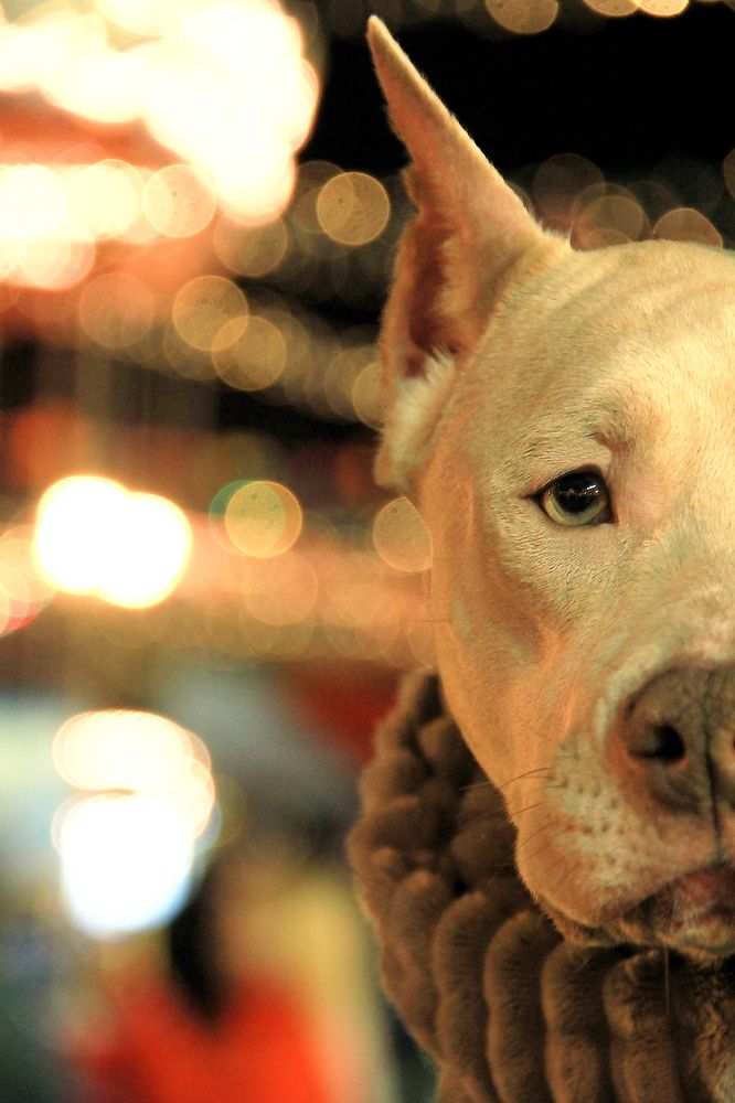 Photograph by Наталья