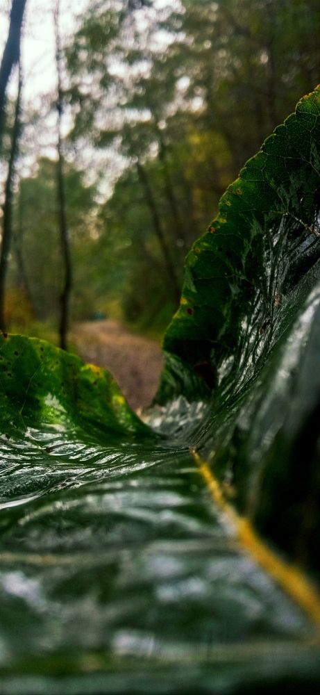 Фотография автора Mahdi Mohammadi