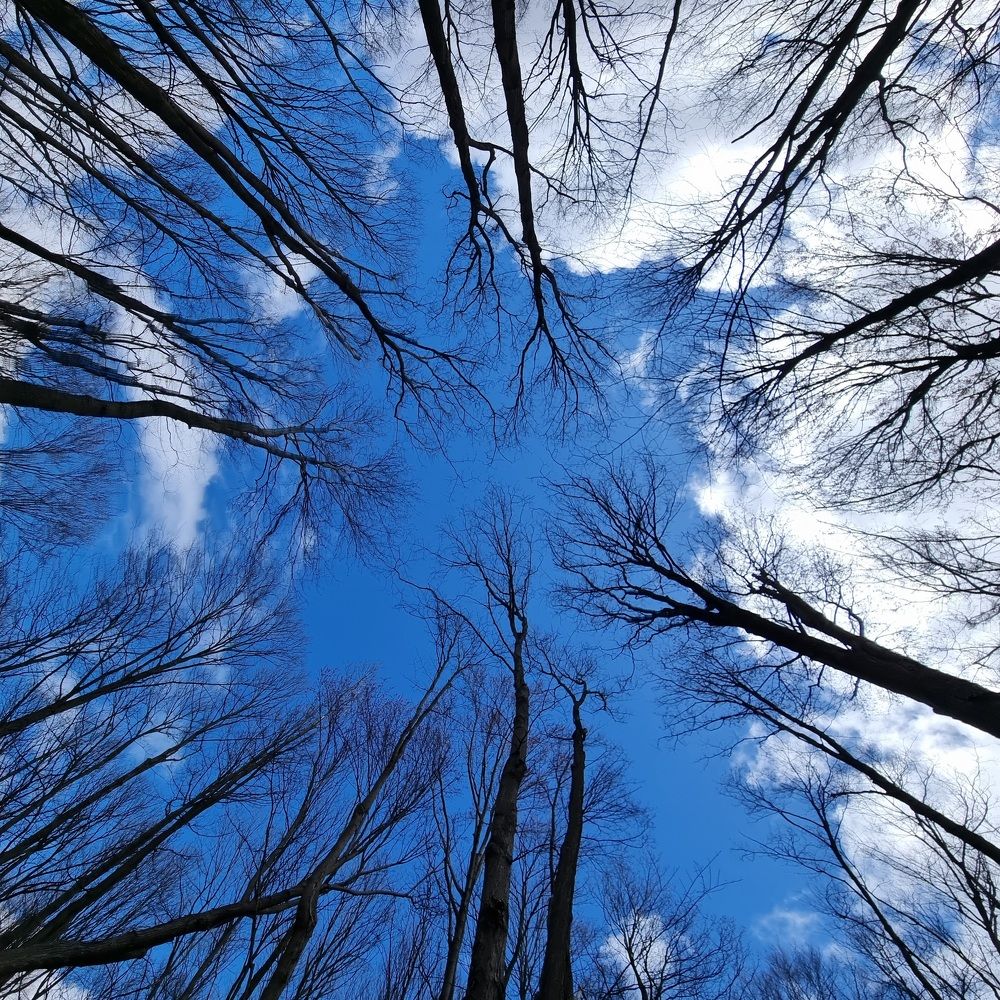 Photograph by Reza Golestaneh