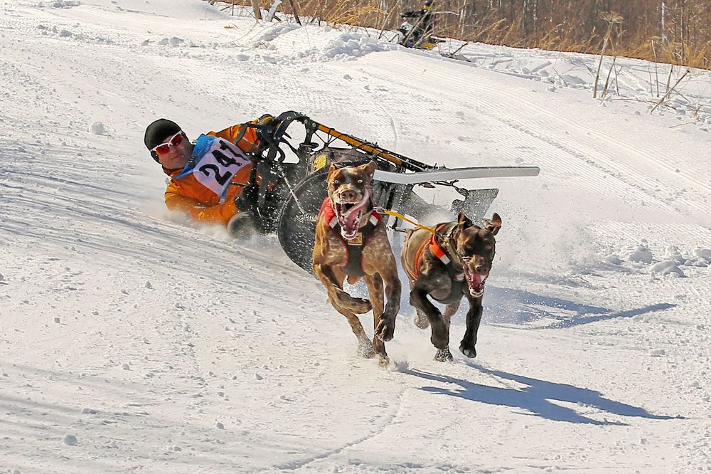 Photograph by Светлана Кольцова