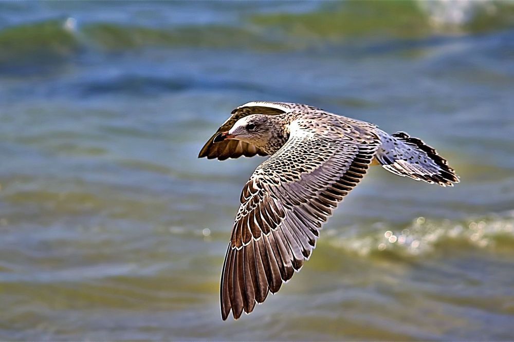 Photograph by Art Bisschop