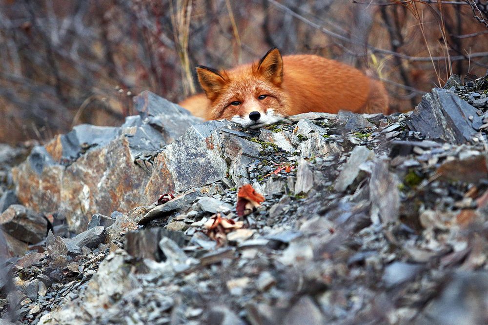 Photograph by Светлана Кольцова