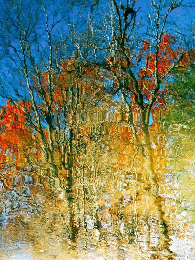 Photograph by Reza Golestaneh