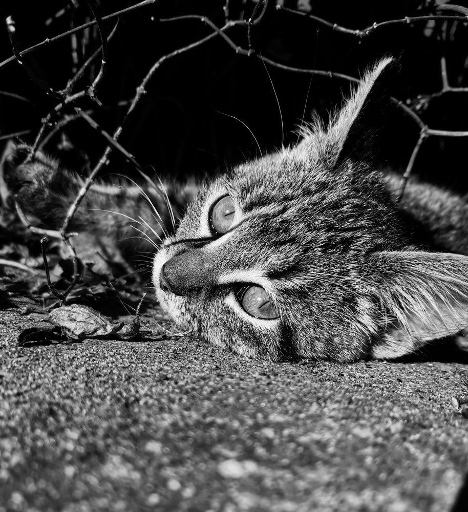 Photograph by Екатерина Ремез