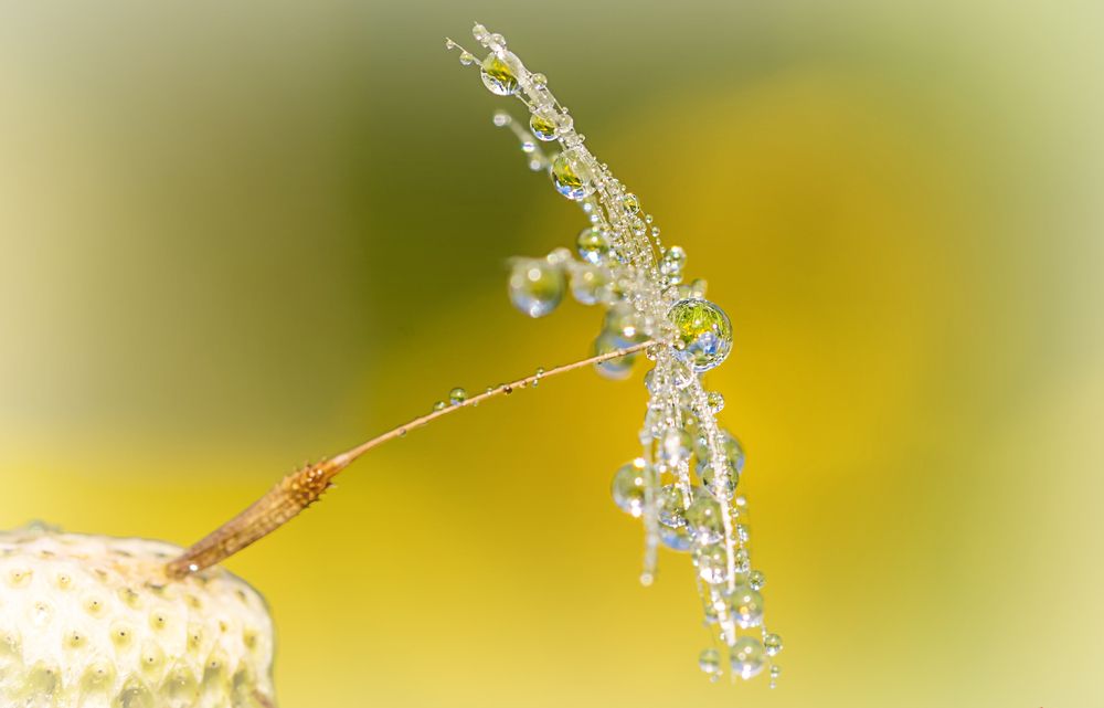 Фотография автора Andrey Pristyazhnyuk