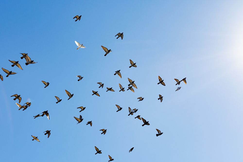 Photograph by Karina Shprekher