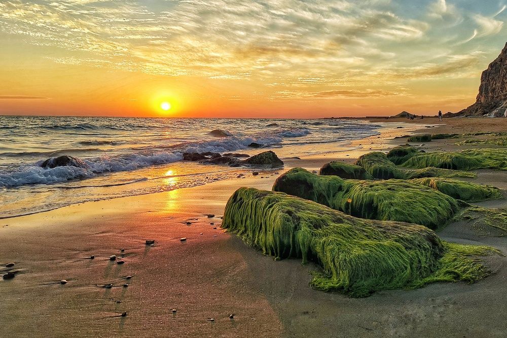 Photograph by Ghasem Akbari