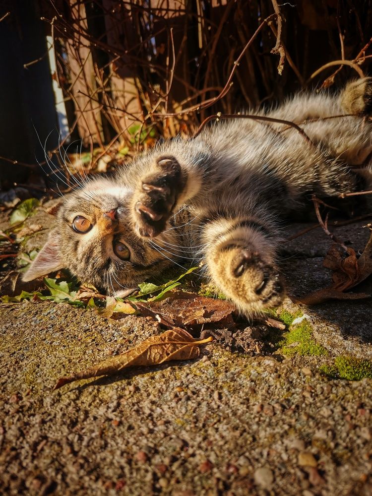 Photograph by Екатерина Ремез