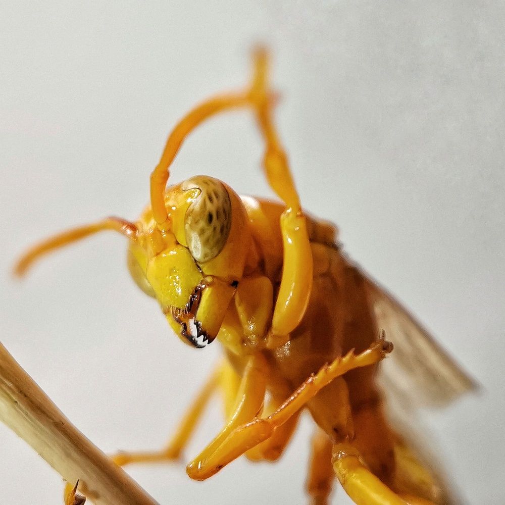 Photograph by Ghasem Akbari