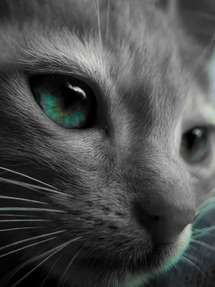 Photograph by Ashiq P F Mohammed