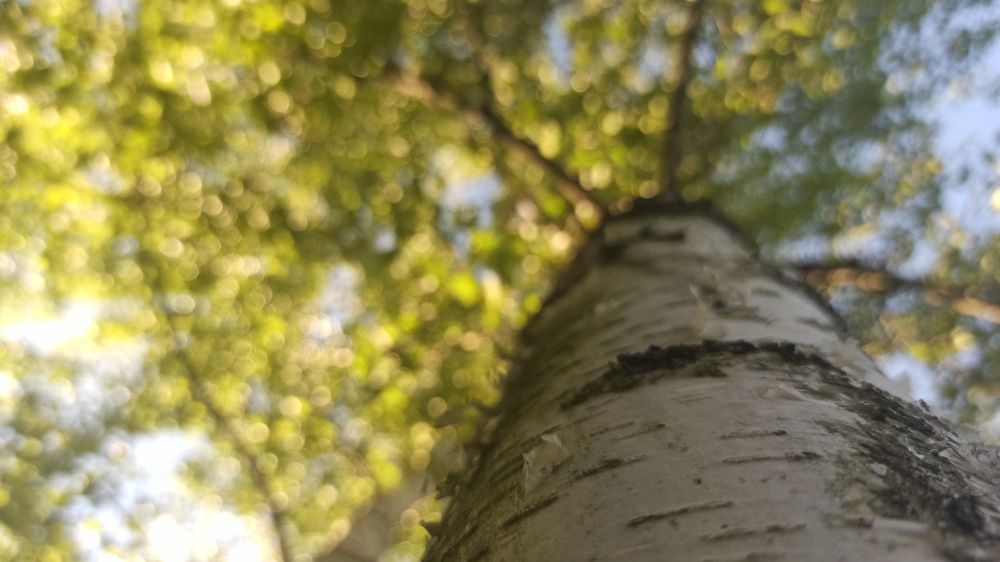 Photograph by Артем Деревенский