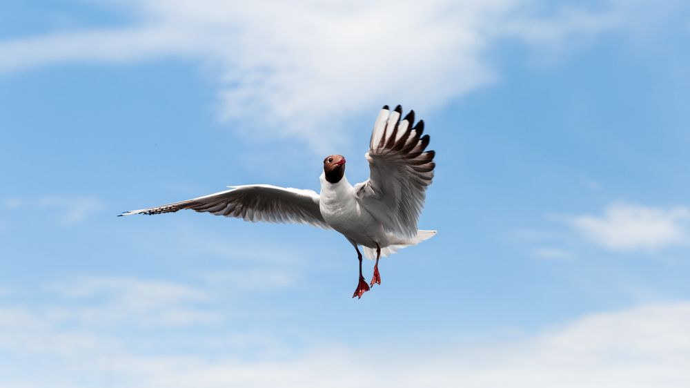 Photograph by Ильяс Бекмансуров