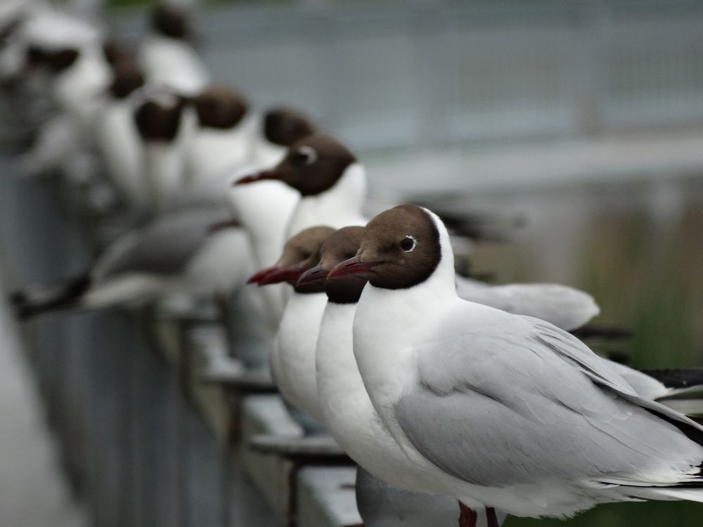 Photograph by Ирина Половцева