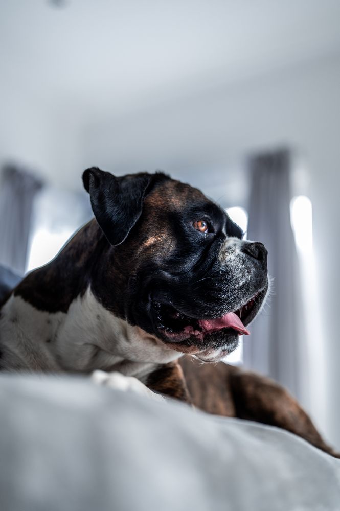 Photograph by Zandri Gillespie