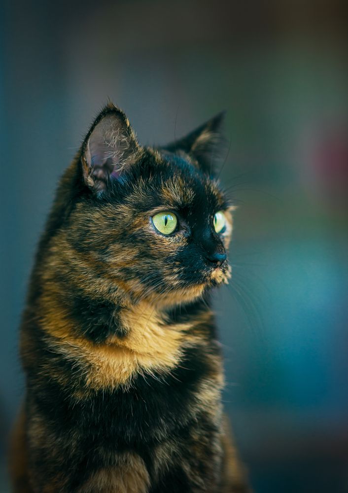 Photograph by Игорь Хижняк