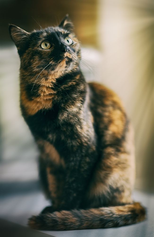 Photograph by Игорь Хижняк