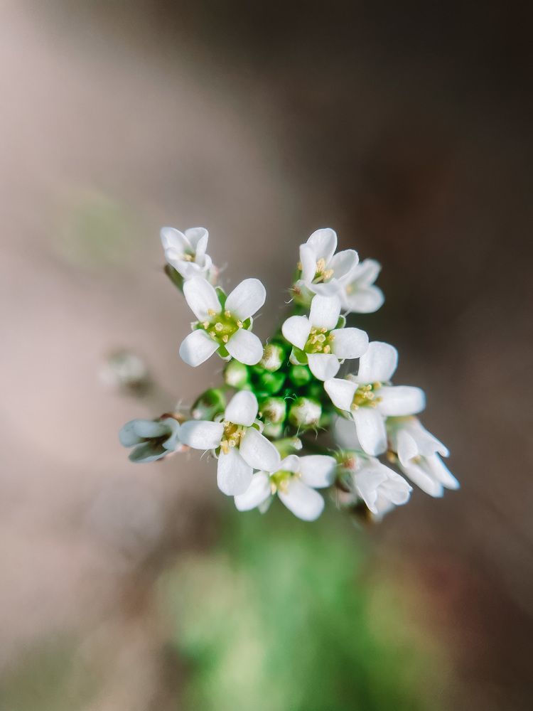 Photograph by Карина Мамлютова