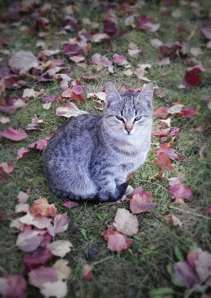 Photograph by Светлана Филимонова