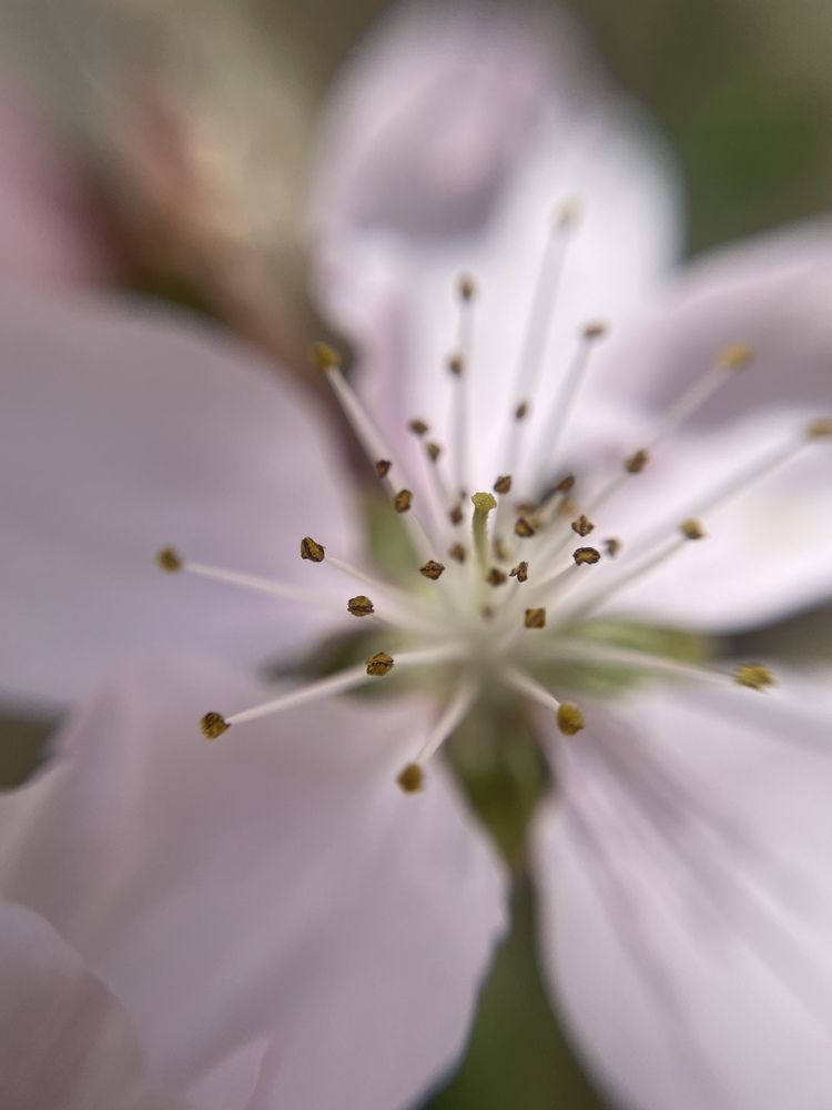 Photograph by Карина Мамлютова