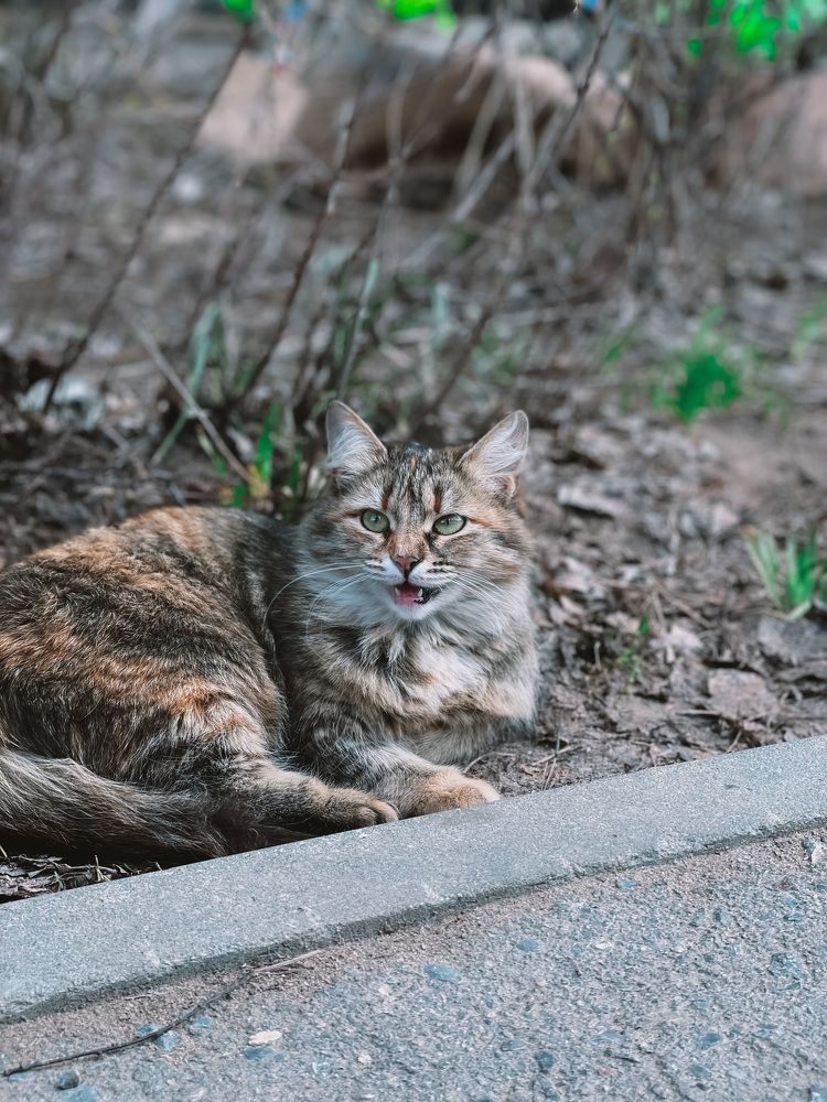 Photograph by Карина Мамлютова