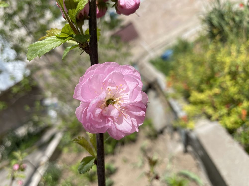 Photograph by Карина Мамлютова