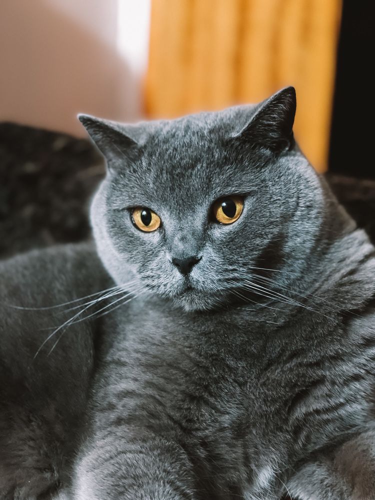 Photograph by Карина Мамлютова