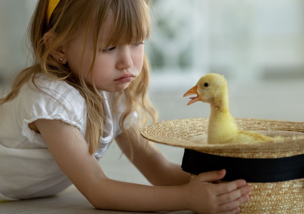 Photograph by Катерина Повидайко